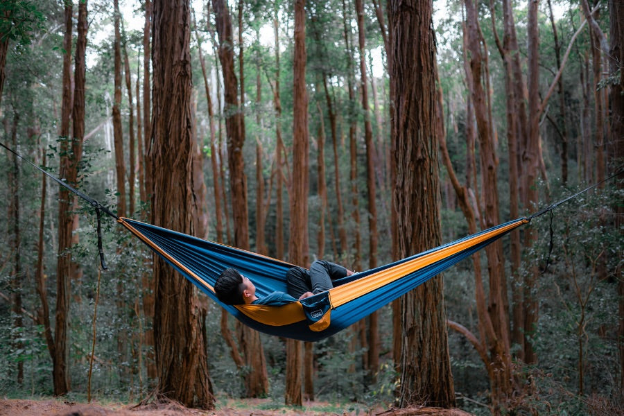Recycled Hammock with Straps