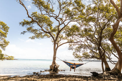 Recycled Hammock with Straps