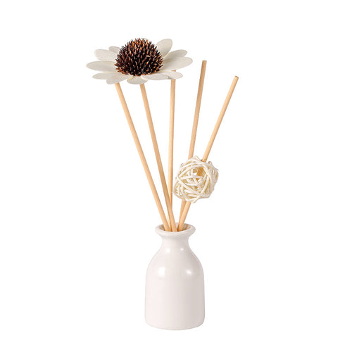 Premium Reed Diffuser Aromatherapy Set